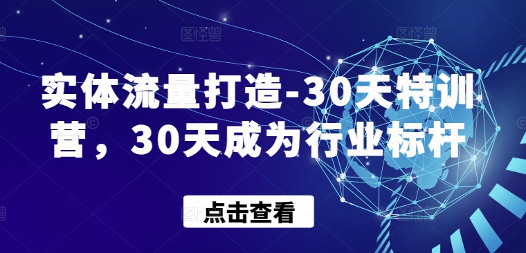 实体流量打造-30天特训营，30天成为行业标杆-度娘社团