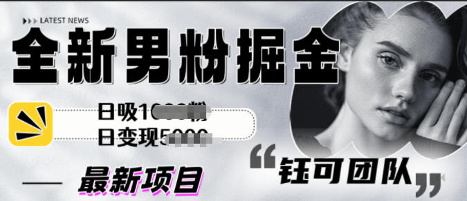 全新男粉掘金思路日吸粉100+日变现1k+-度娘社团