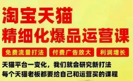 淘宝天猫精细化爆品运营课，免费流量打法-付费广告放大-利润增长-三大核心痛点，一次全部解决-度娘社团