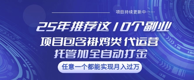25年推荐这10个副业项目包含褂鸡类、代运营托管类、全自动打金类【揭秘】-度娘社团