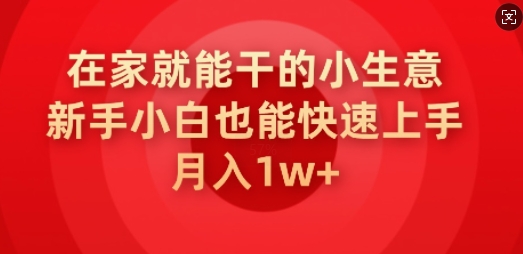 在家就能干的小生意，新手小白也能快速上手，月入1w-度娘社团