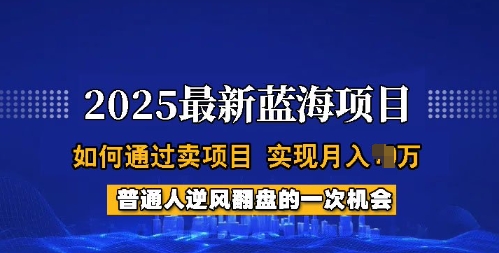 2025蓝海项目，普通人如何通过卖项目，实现月入过W，全过程【揭秘】-度娘社团