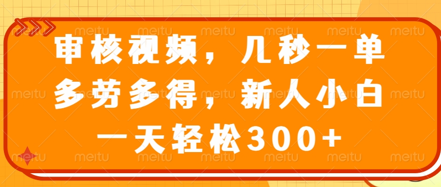 （14294期）审核视频，几秒一单，多劳多得，新人小白一天轻松300+-度娘社团