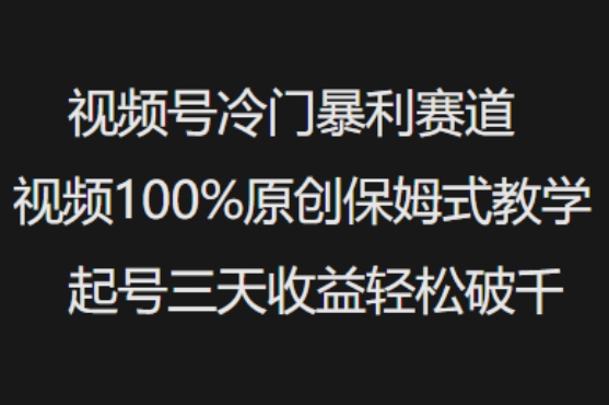 视频号冷门暴利赛道视频100%原创保姆式教学起号三天收益轻松破千-度娘社团