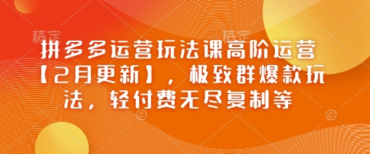拼多多运营玩法课高阶运营【2月更新】，极致群爆款玩法，轻付费无尽复制等-度娘社团